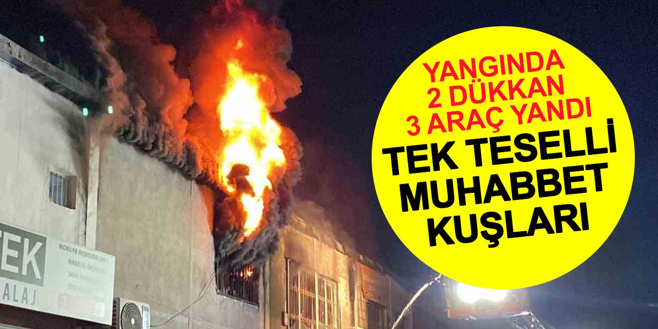 2 Dükkan ve 3 Araba Yandı Tek Teselli Kurtarılan Muhabbet Kuşları Oldu