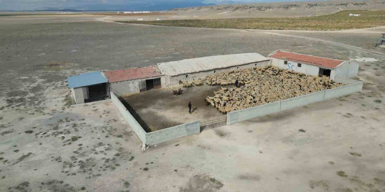 Ereğli'de çalınan bin 200 küçükbaş hayvan 5 saatte bulundu