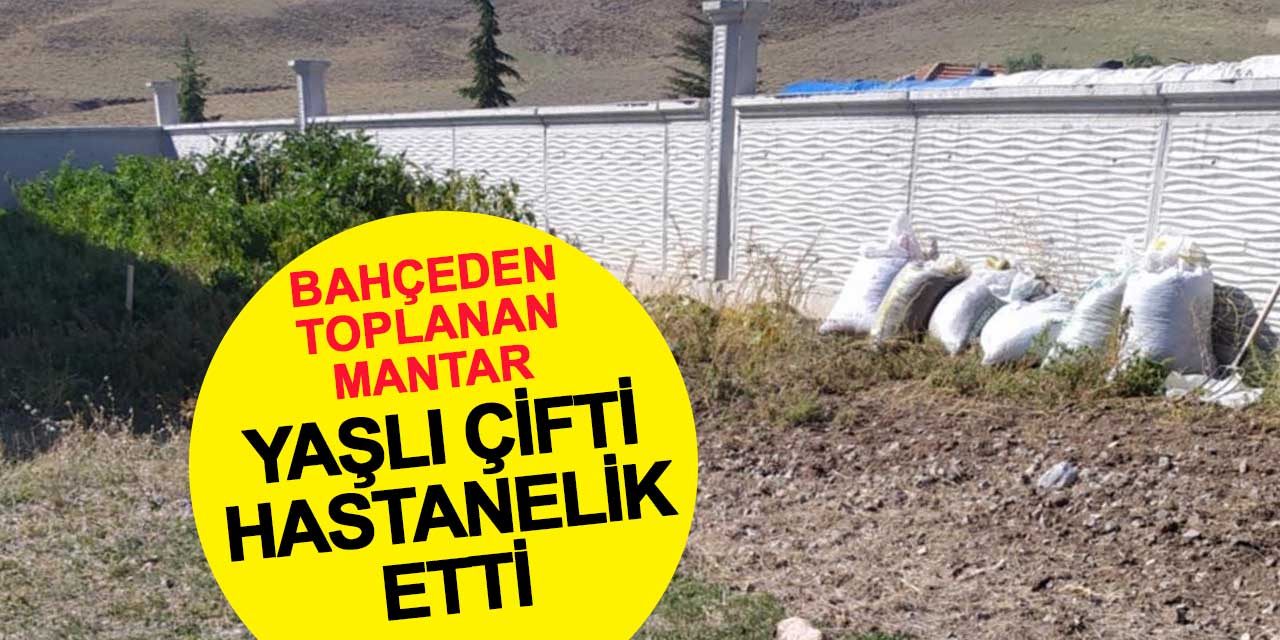 Bahçeden topladıkları mantar yaşlı çifti hastanelik etti
