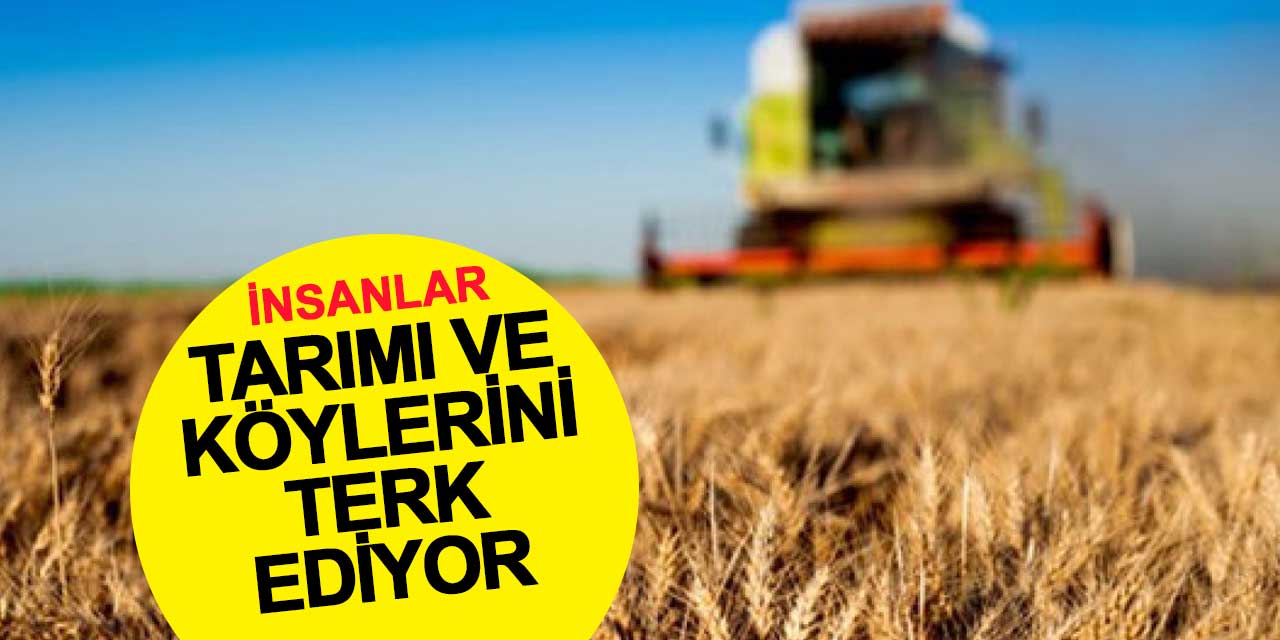 İnsanlar tarımı ve köylerini terk etmeye başladı