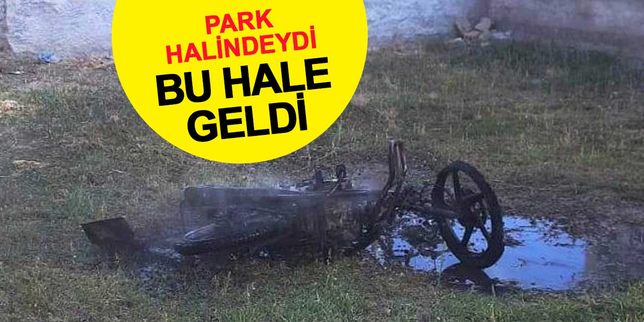 Park halindeydi, biranda yanmaya başladı