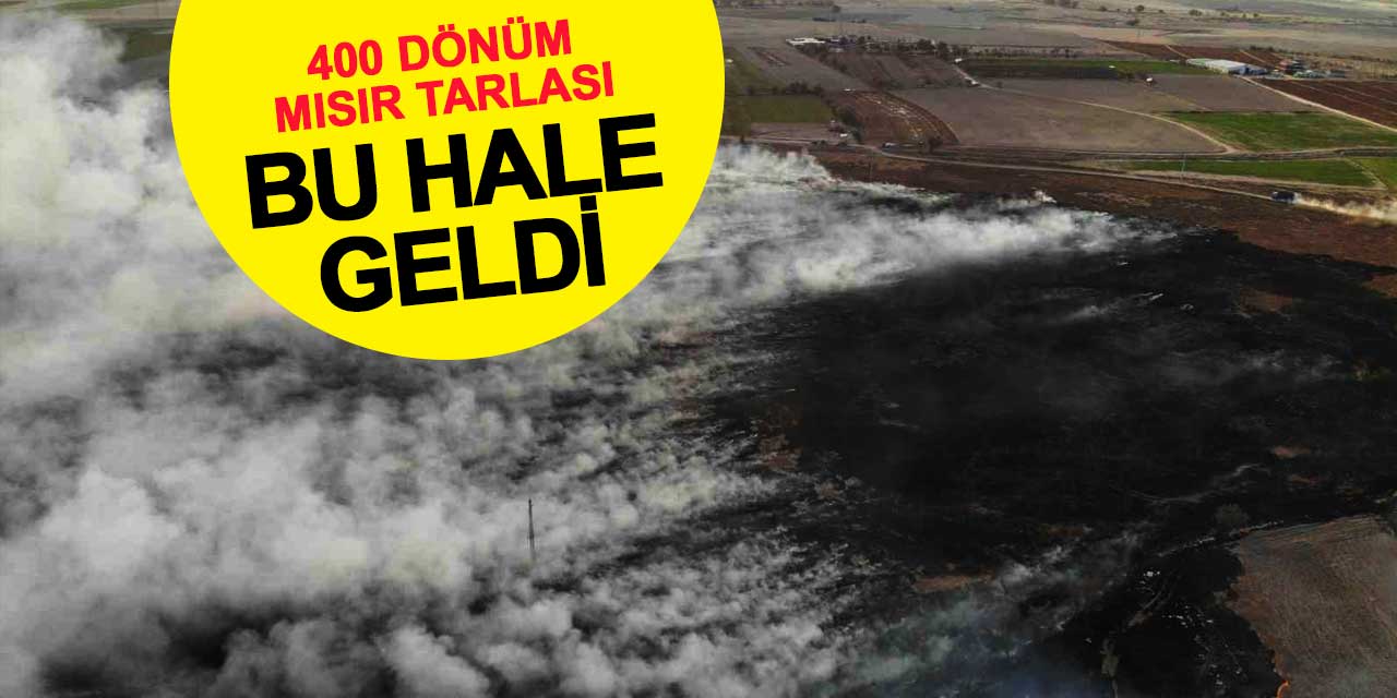 400 dönümlük mısır tarlası alev alev yandı