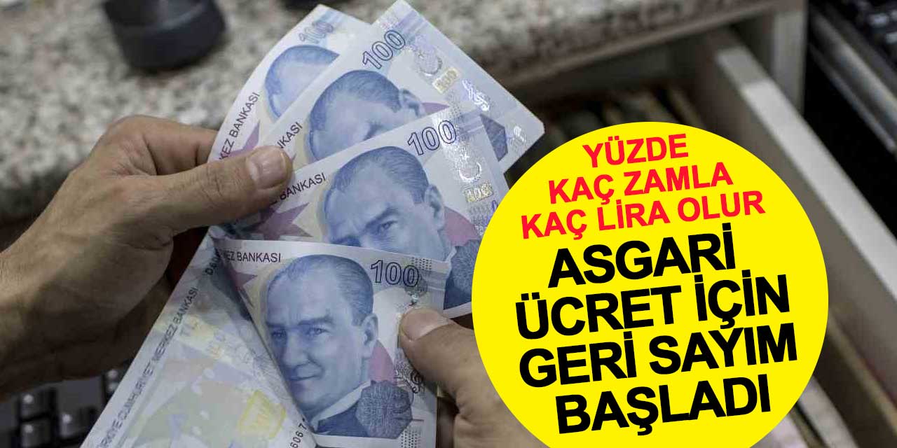 Asgari ücret için geri sayım başladı: Yüzde kaç zamla kaç lira olur?