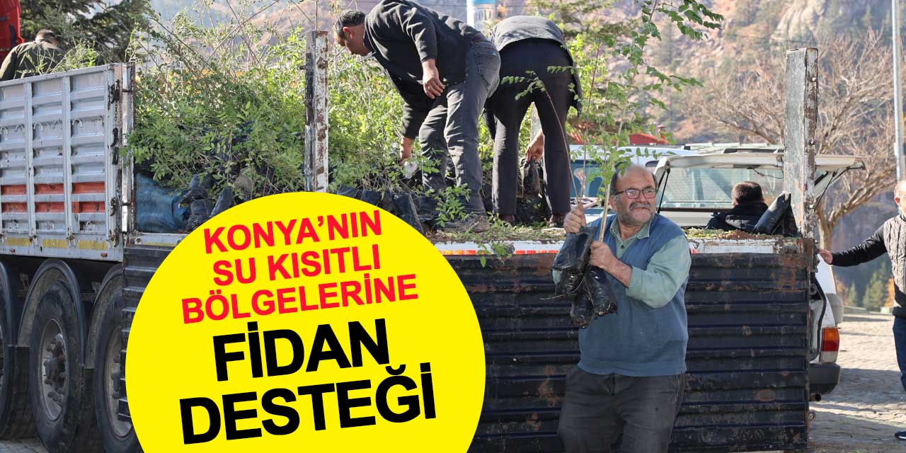 Konya'nın su kısıtlı bölgelerine sumak fidanı desteği