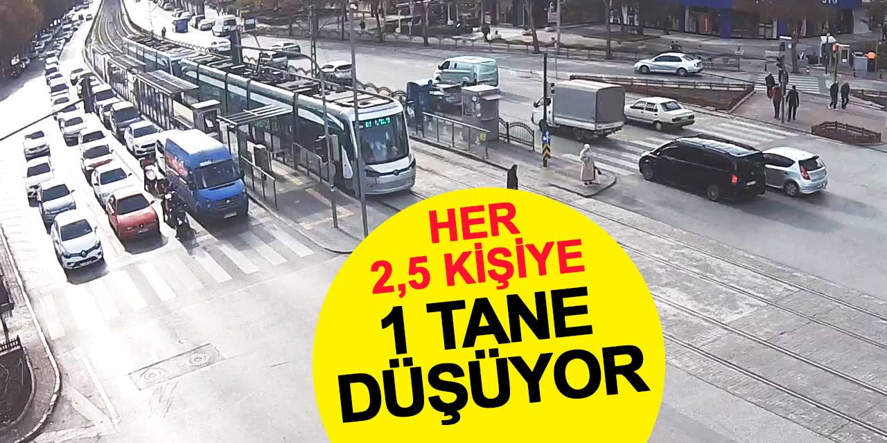 Konya'da Her 2 Buçuk Kişiye 1 Tane Düşüyor