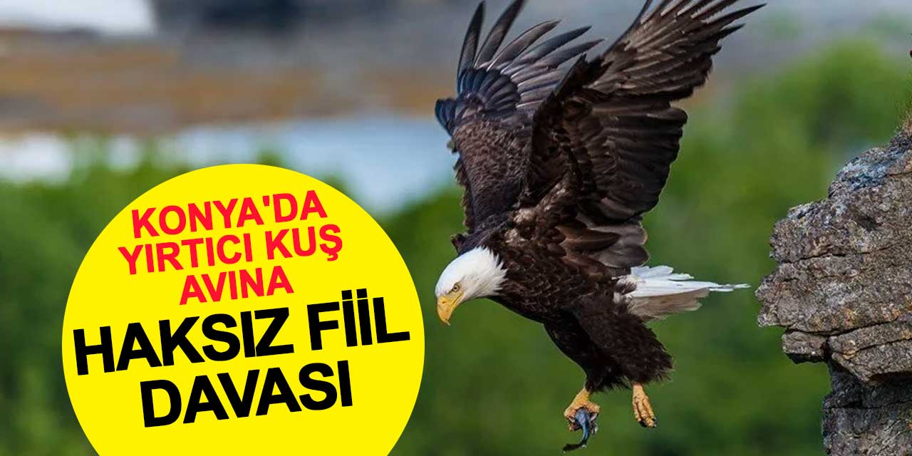 Konya'da Yırtıcı Kuş Avına Haksız Fiil Davası Açıldı