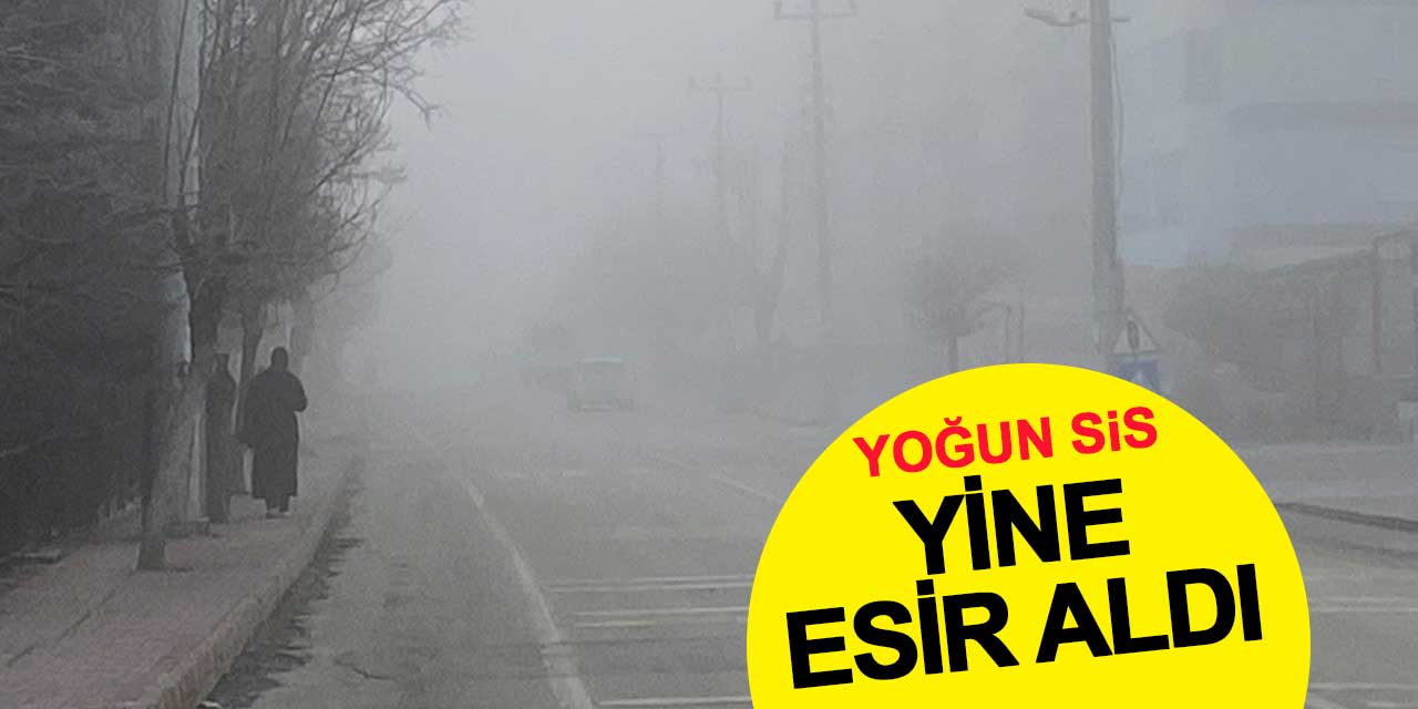 Yoğun sis yine esir aldı