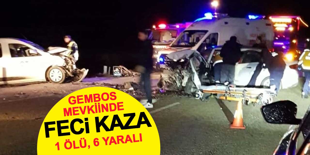 Gembos Ovası mevkisinde feci kaza: 1 ölü, 6 yaralı