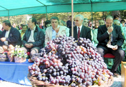 Silleliler bir araya geldi