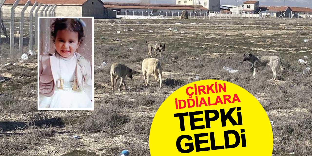2 yaşındaki Rana'nın ölümüyle ilgili çirkin iddialara tepki