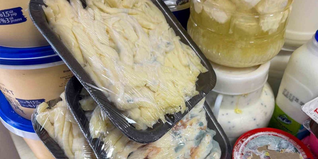 Mersin'de mide bulandıran görüntü! Tarihi ve içi geçmiş