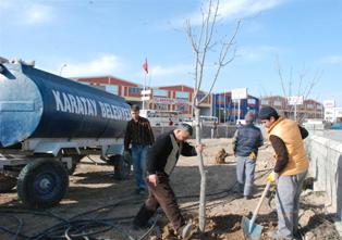 Karatay'da ağaçlandırma çalışmaları
