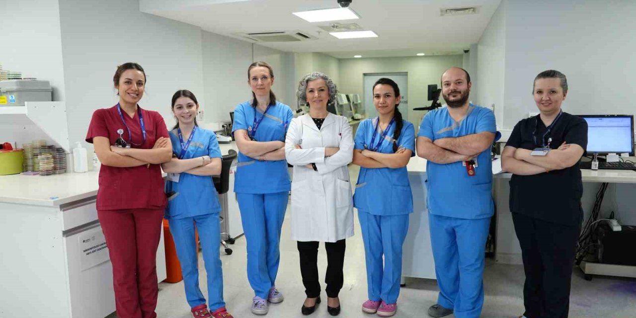 Sağlık hizmetlerinin bel kemiği laboratuvarlar