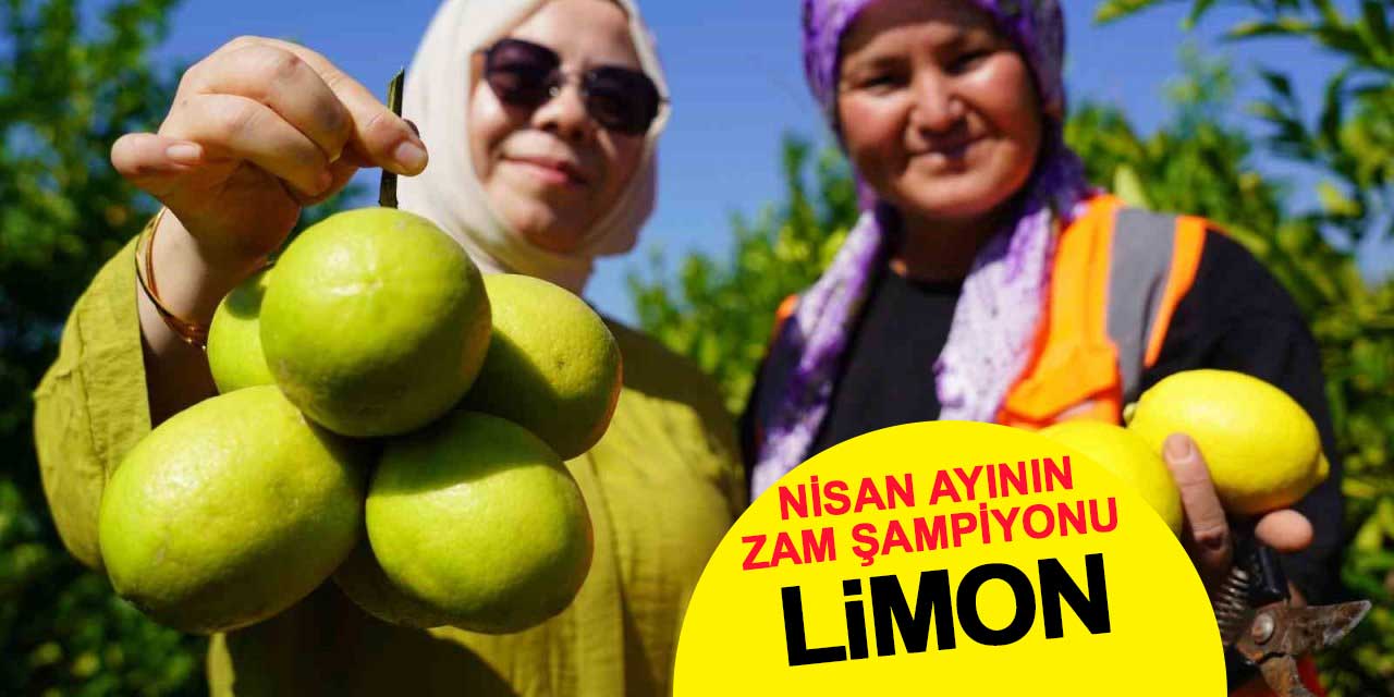 Nisan Ayının Zam Şampiyonu: Limon