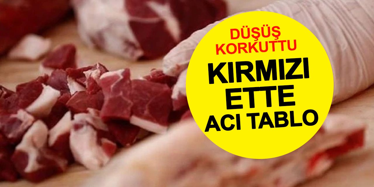 Sığır Eti Üretimi Düştü Fiyatı Fırladı