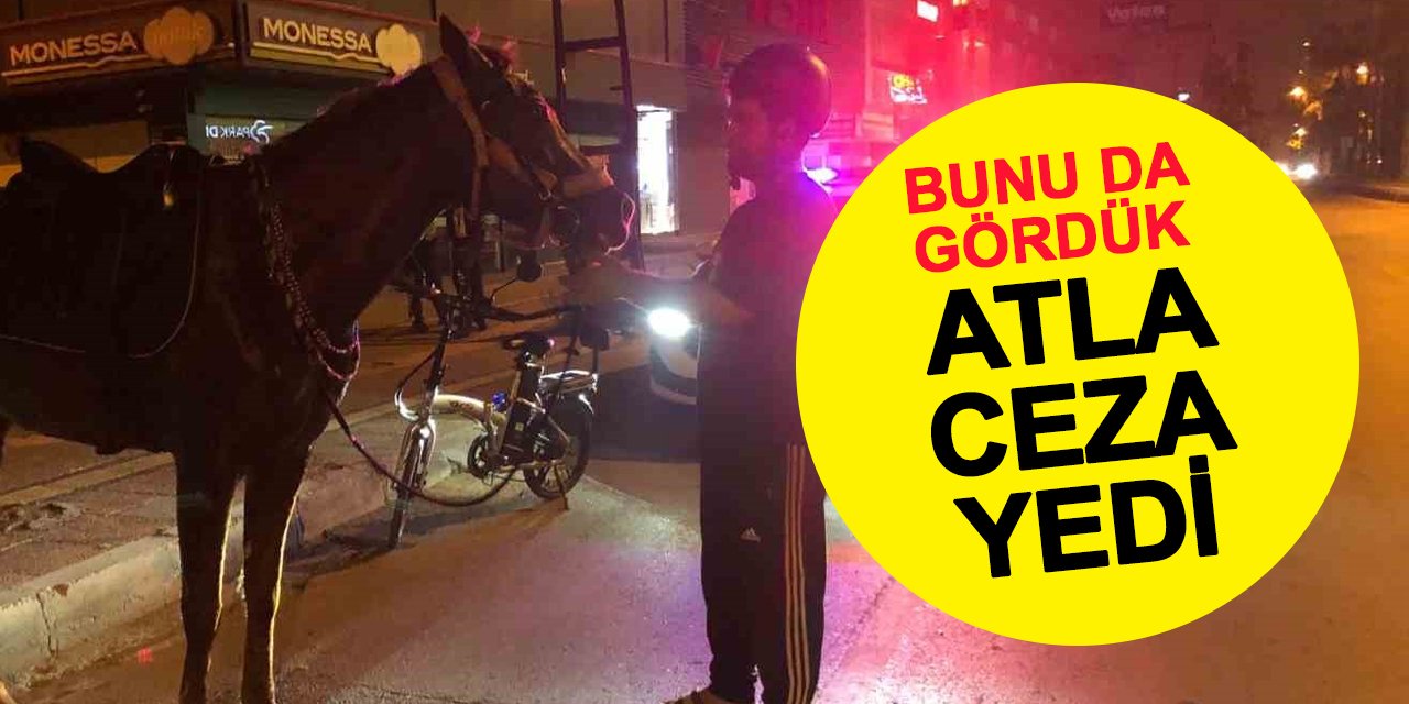 Atla Markete Gidene Alkollü Araç Cezası: "Atım da Araç mı Oldu?