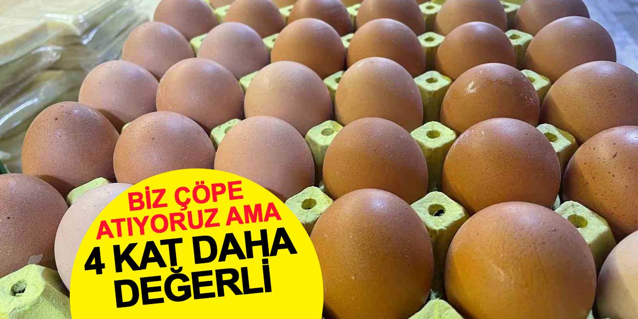Biz çöpe atıyoruz ama kabuğu kendisinden 4 kat daha değerli