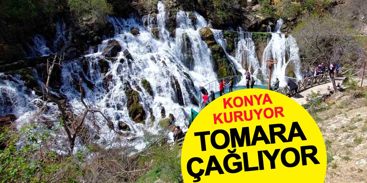 Kıskandıran manzara: Konya kuruyor, Tomara çağlıyor