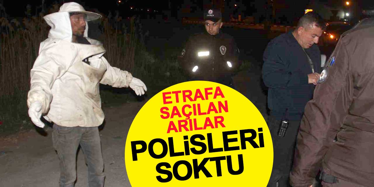 Kazada etrafa saçılan arılar polisleri soktu