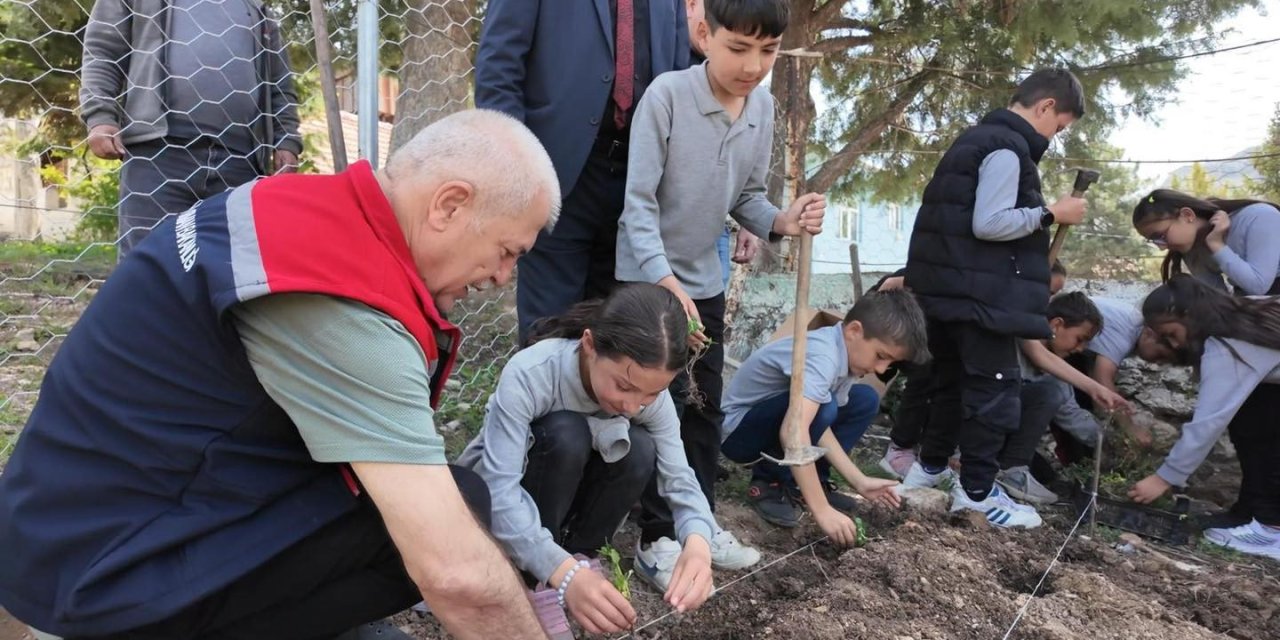 Tıbbi aromatik bitkiler bu bahçede yetişecek
