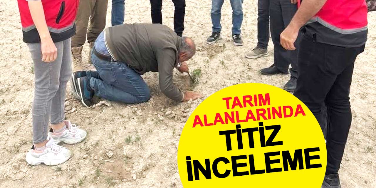 Konya'da don sonrası tarım arazilerinde incelemeler sürüyor