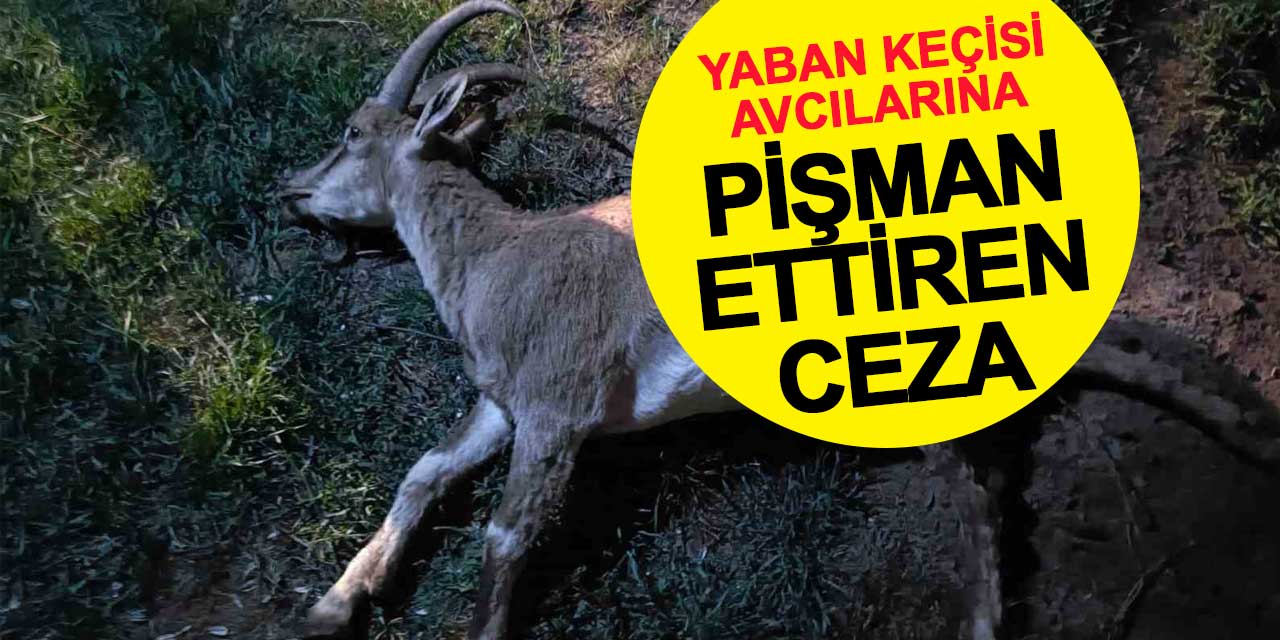 Seydişehir'de koruma altındaki yaban keçisini avlayan 2 kişiye 687 bin lira ceza