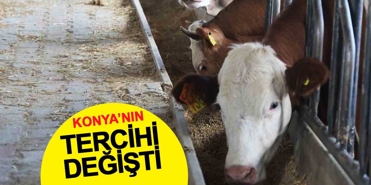 Konyalıların kurbanlık tercihi değişti