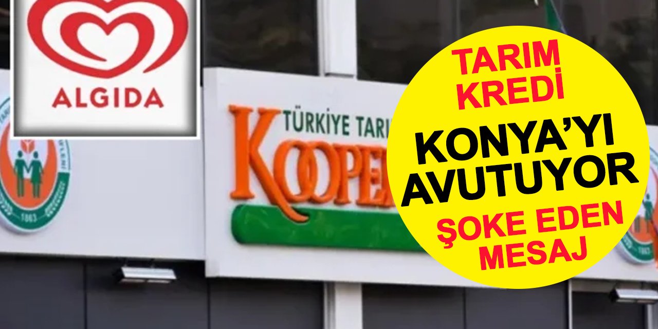 Tarım Kredi Konya ve Kayseri'yi avutuyor
