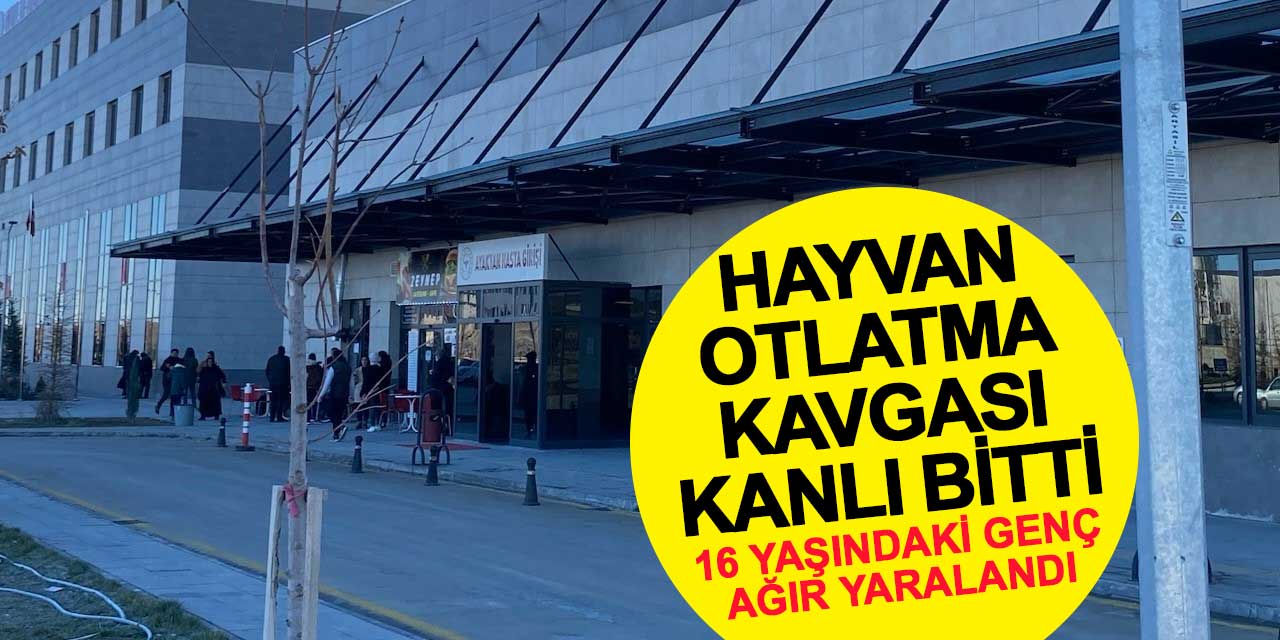 Konya'da hayvan otlatma kavgası kanlı bitti: 16 yaşındaki genç ağır yaralandı
