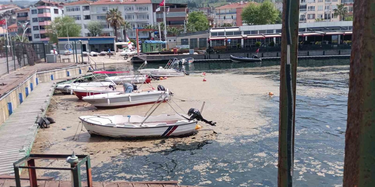 Çok erken oldu