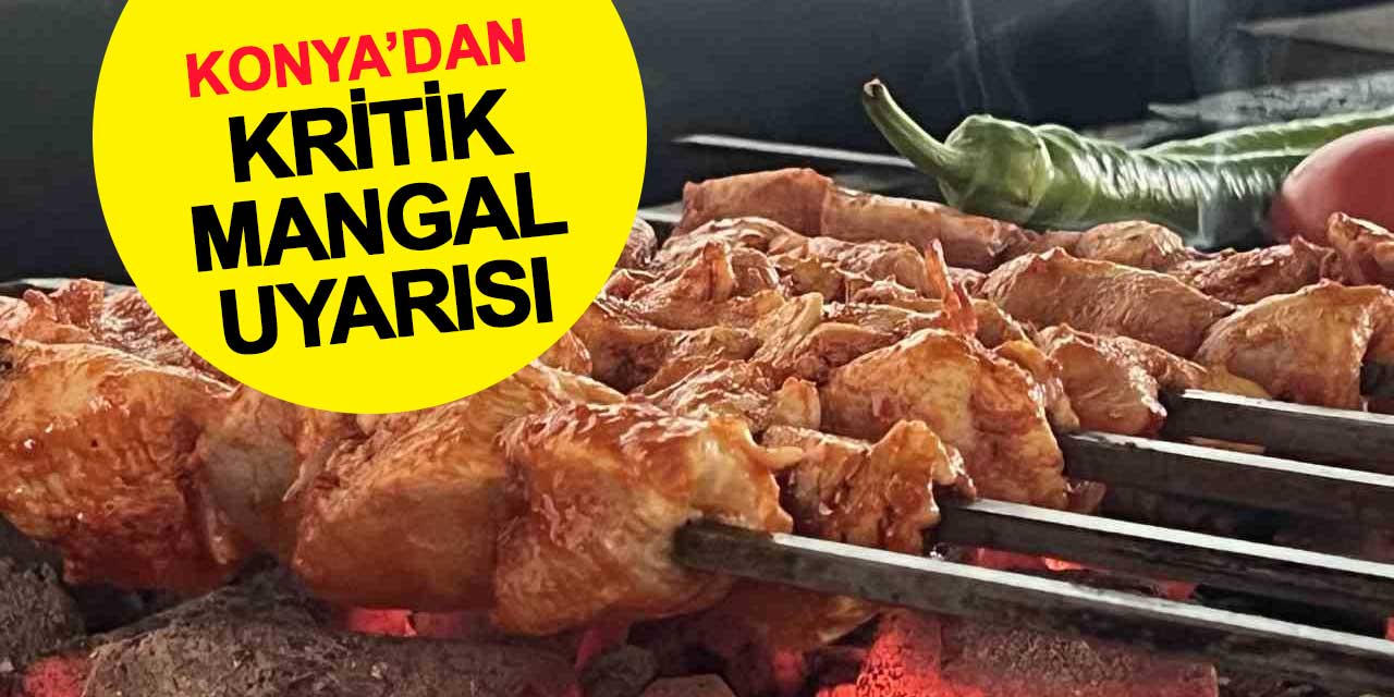 Konya'dan kritik mangal uyarısı