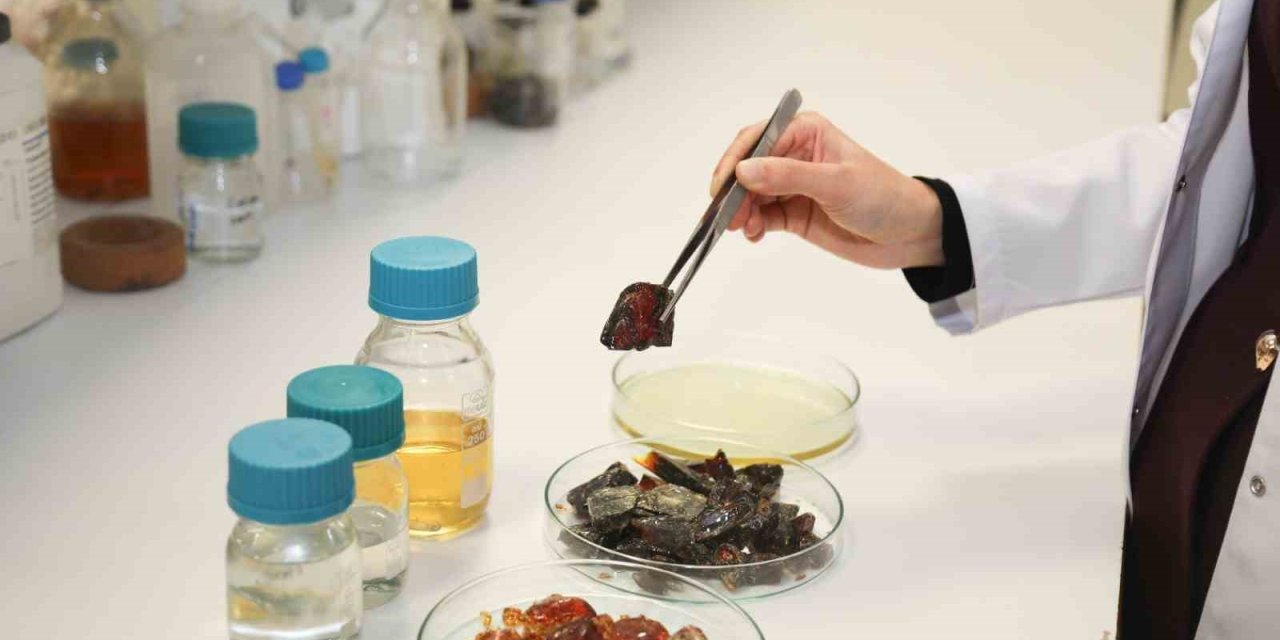Plastik Ambalaja Yerli ve Doğal Alternatif