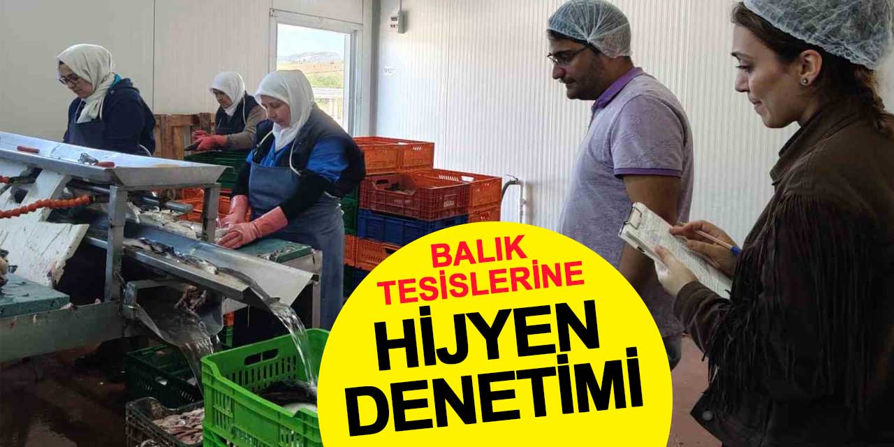 Konya'daki balık tesislerine hijyen denetimi
