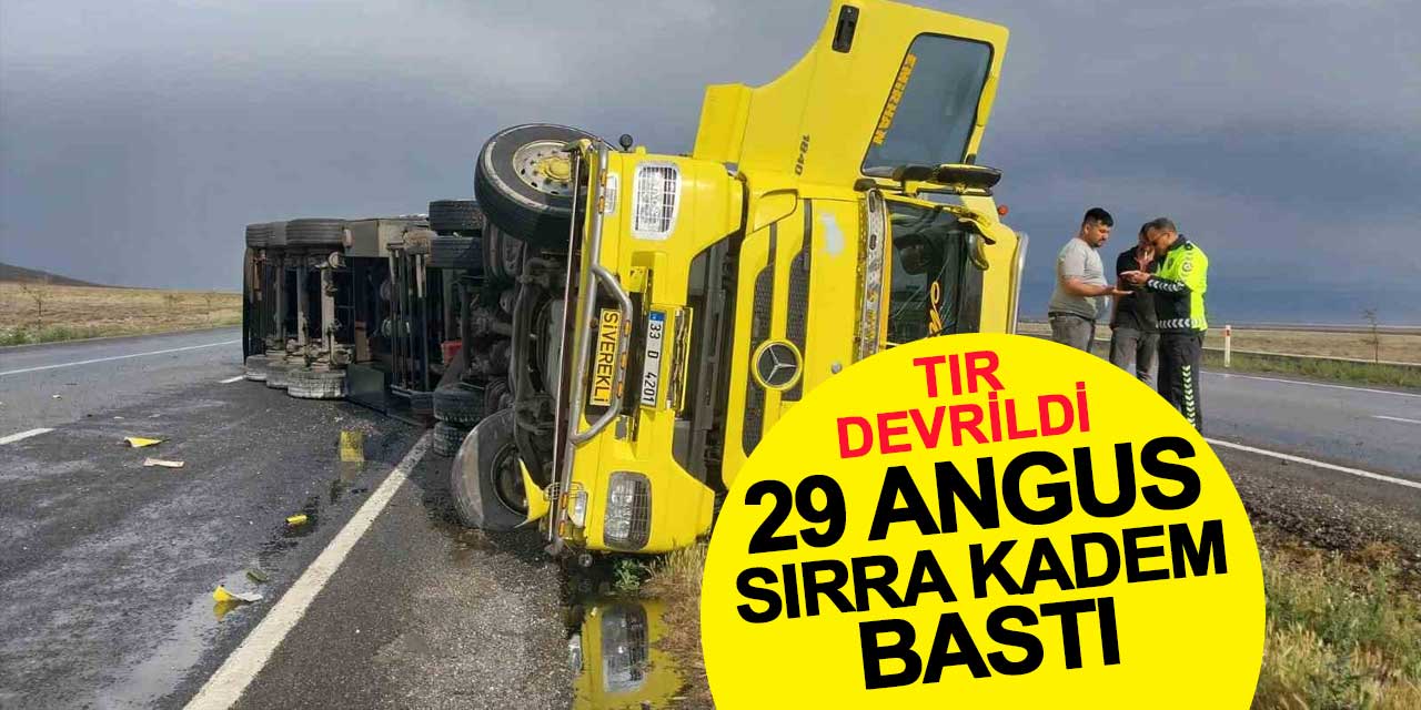 Tır devrildi, kasadaki 29 angus sırra kadem bastı