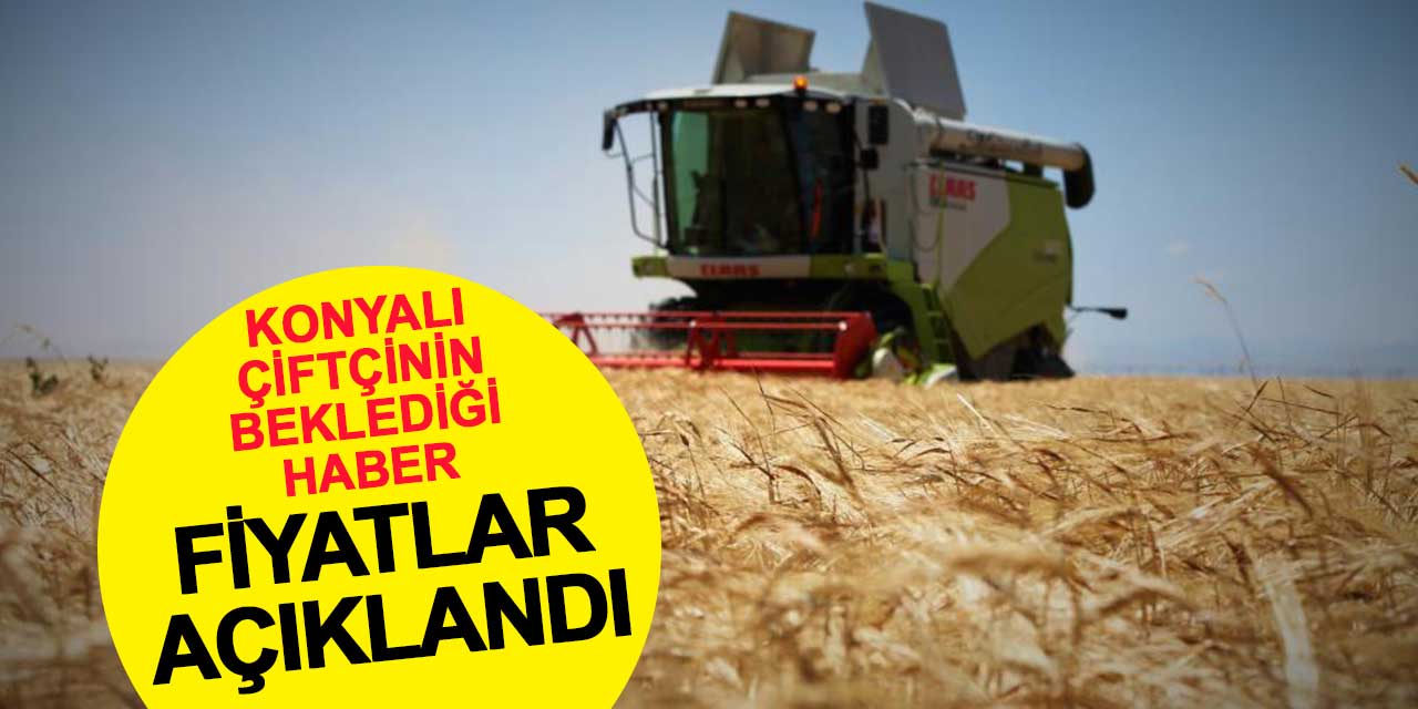 Konyalı çiftçinin merakla beklediği haber: Hububat alım fiyatları açıklandı