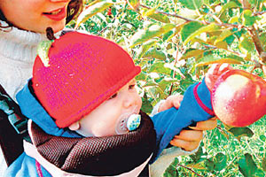 Sağlıklı yaşamın sırrı...