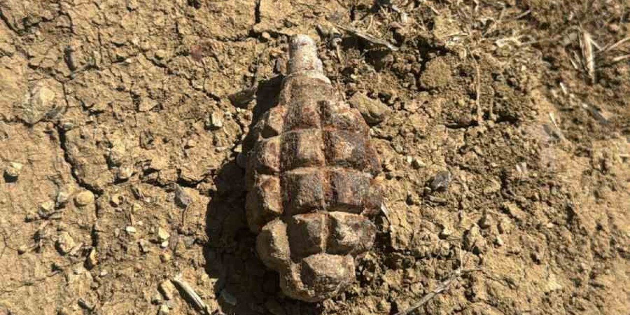 Sakarya Meydan Muharebesi'nden kalan el bombası, soğan tarlasında çıktı