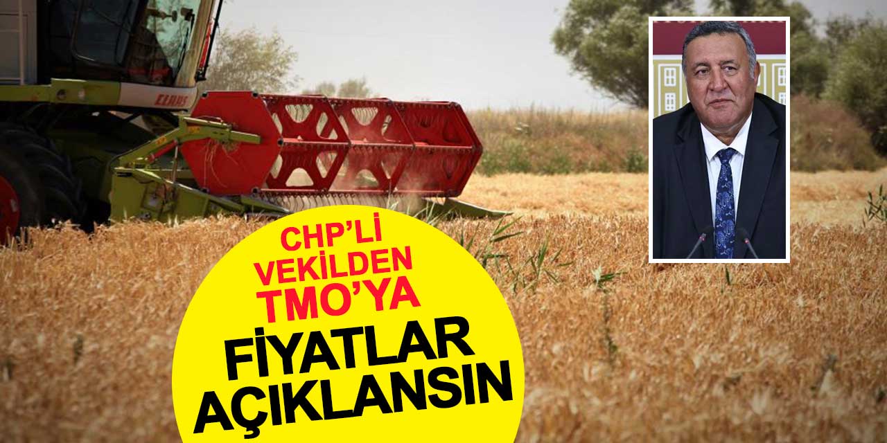 CHP’li vekilden TMO'ya: Buğday alım fiyatını açıklayın