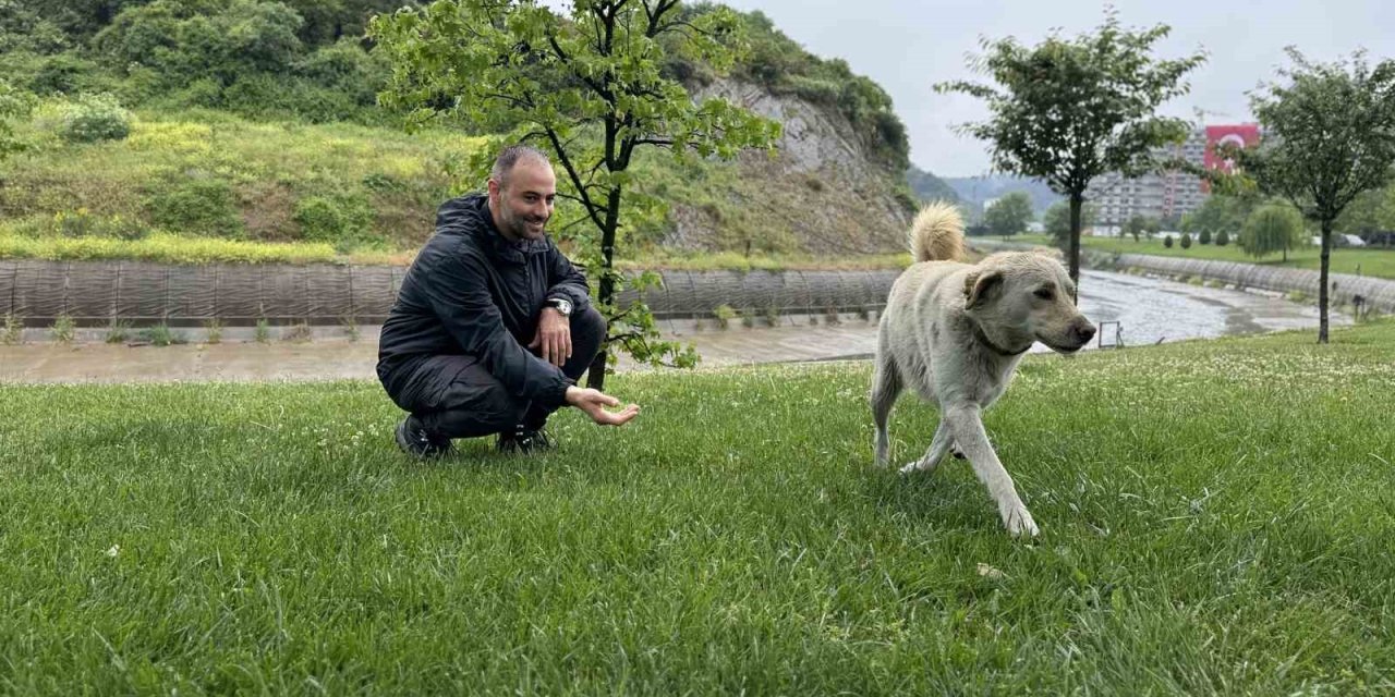 Herkes bankada hırsız var sandı: Gerçek manzara güldürdü