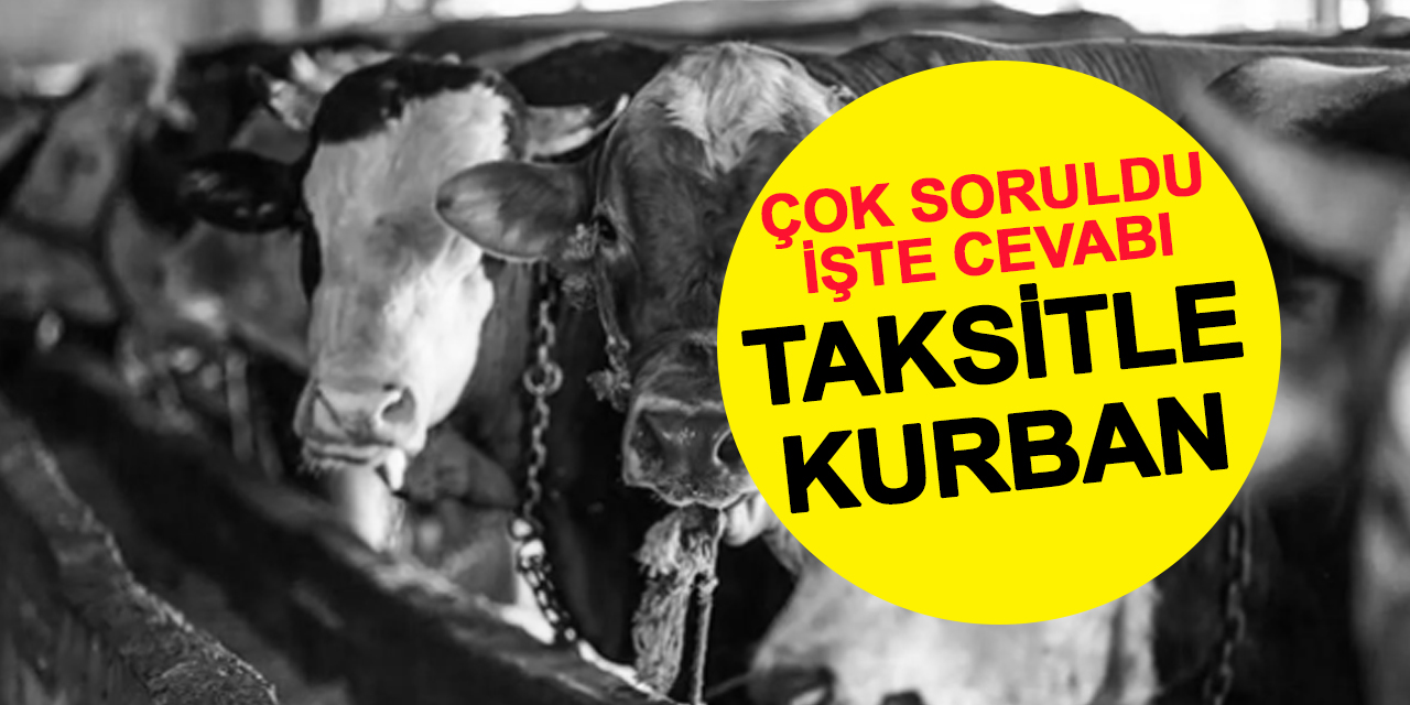 Taksitle kurban almak caiz mi? Diyanet'ten dikkat çeken açıklama