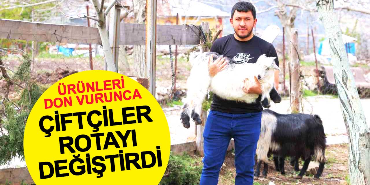 Cevizi de don vurunca çiftçiler rotayı değiştirdi