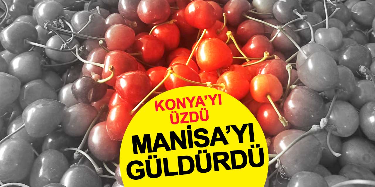 Konya'da don üzdü, Manisa’da fiyatlar güldürdü