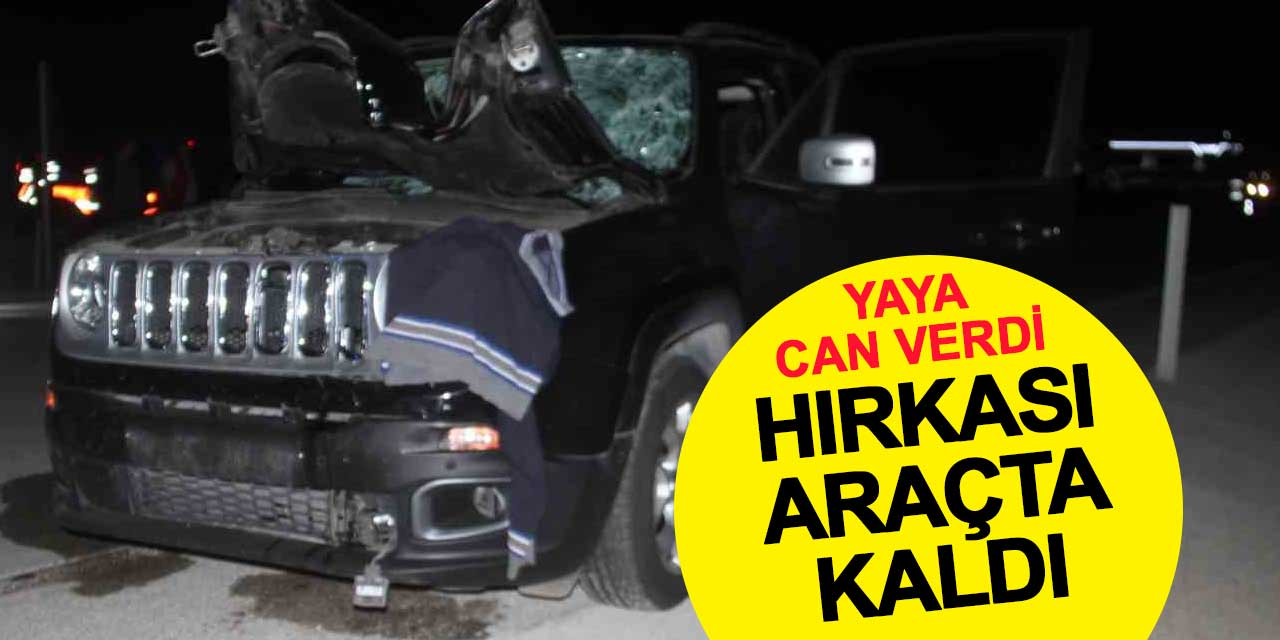 Yolun karşısına geçmeye çalışırken can verdi