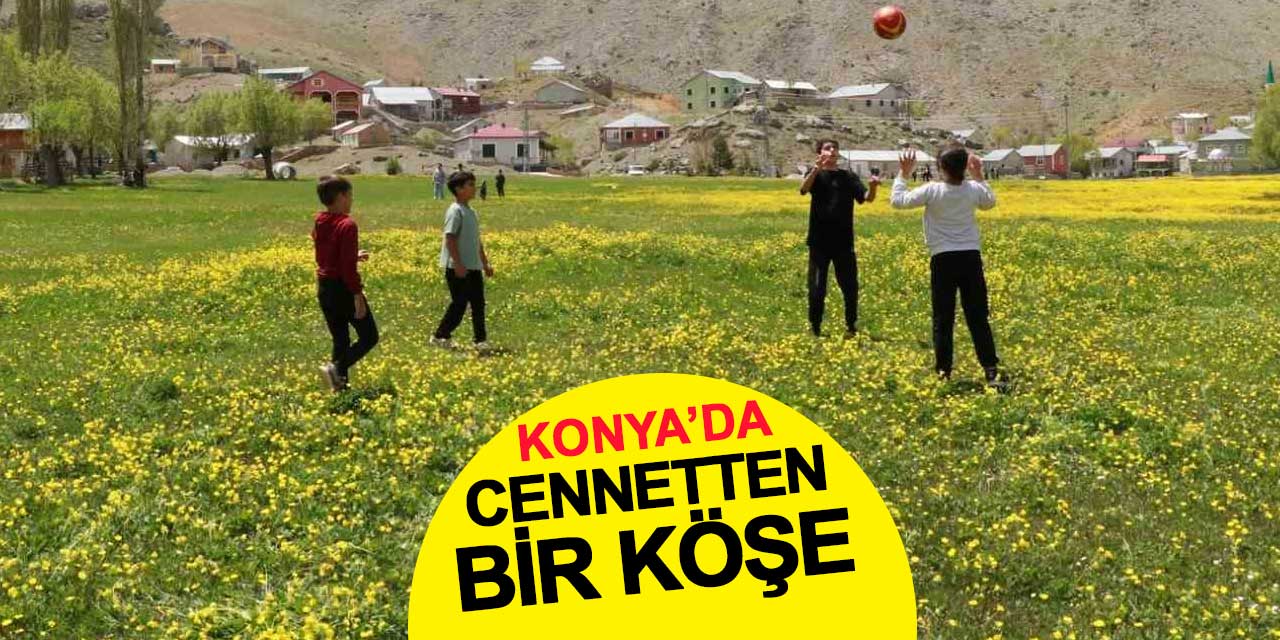 Hisarlık Yaylası'nda düğün çiçekleri görsel şölen sunuyor