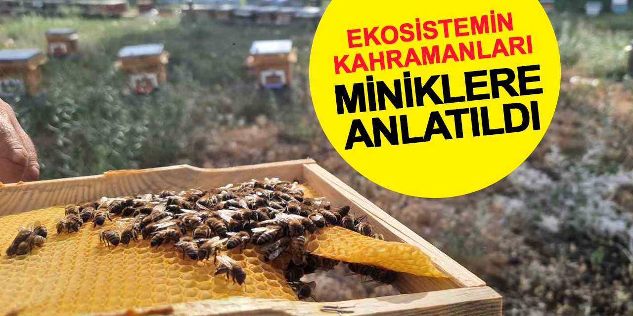 Ekosistemin kahramanları arılar, miniklere anlatıldı
