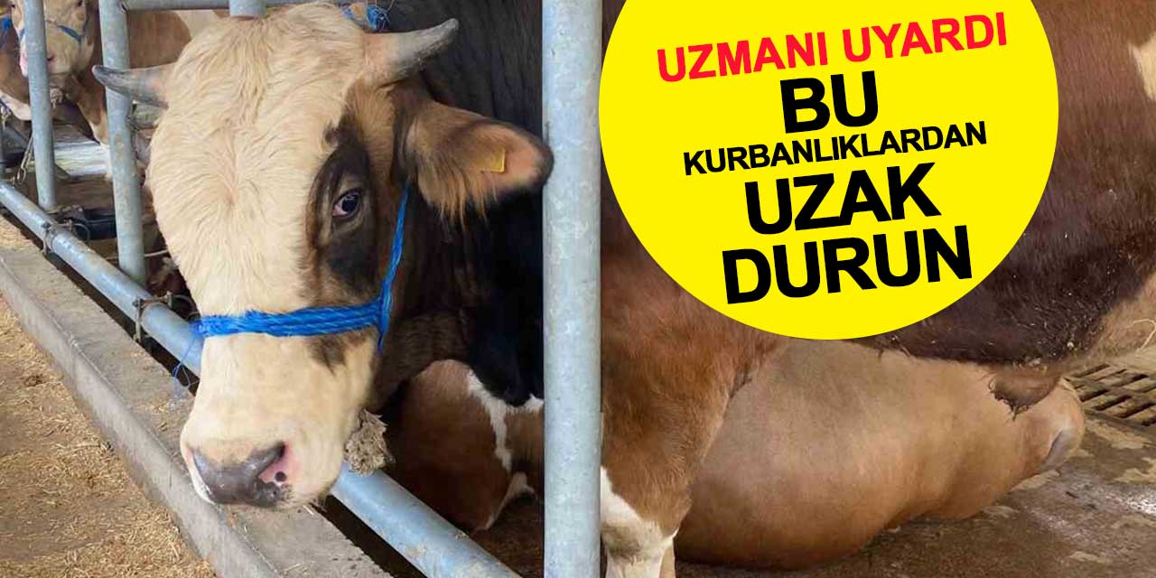 Uzmanı uyardı: Bu kurbanlıklardan uzak durun