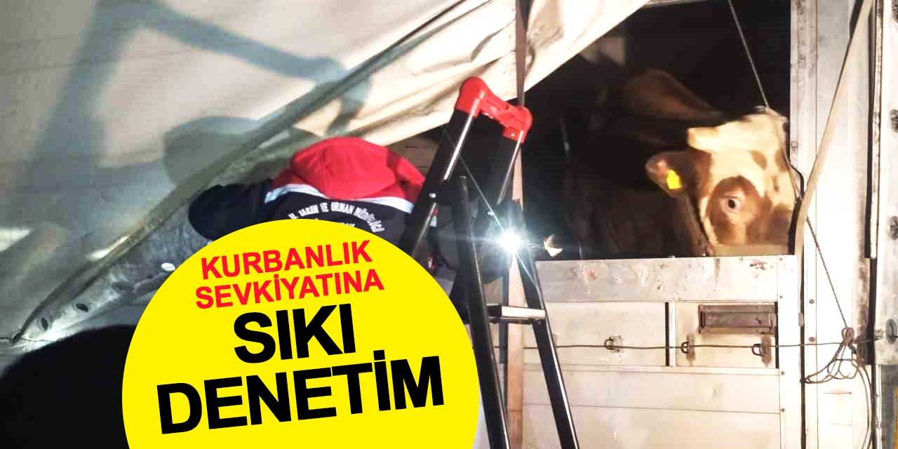 Kurbanlık sevkiyatı sıkı denetimden geçiyor