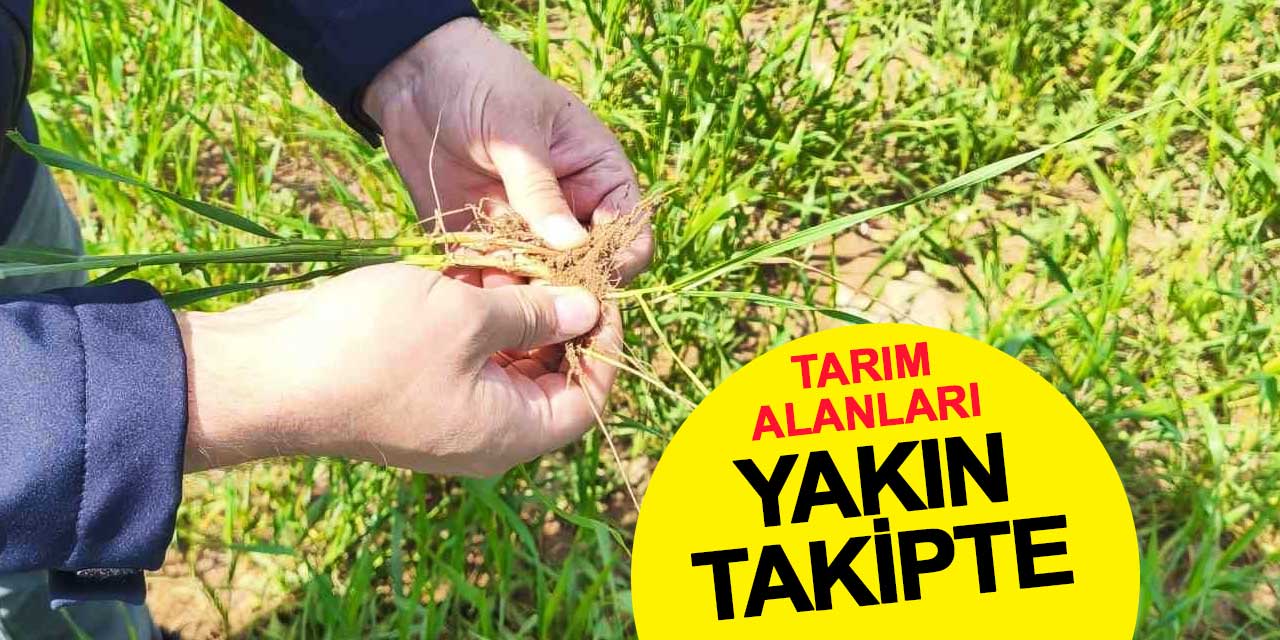 Ekipler sahada: Tarım alanlarına yakın takip