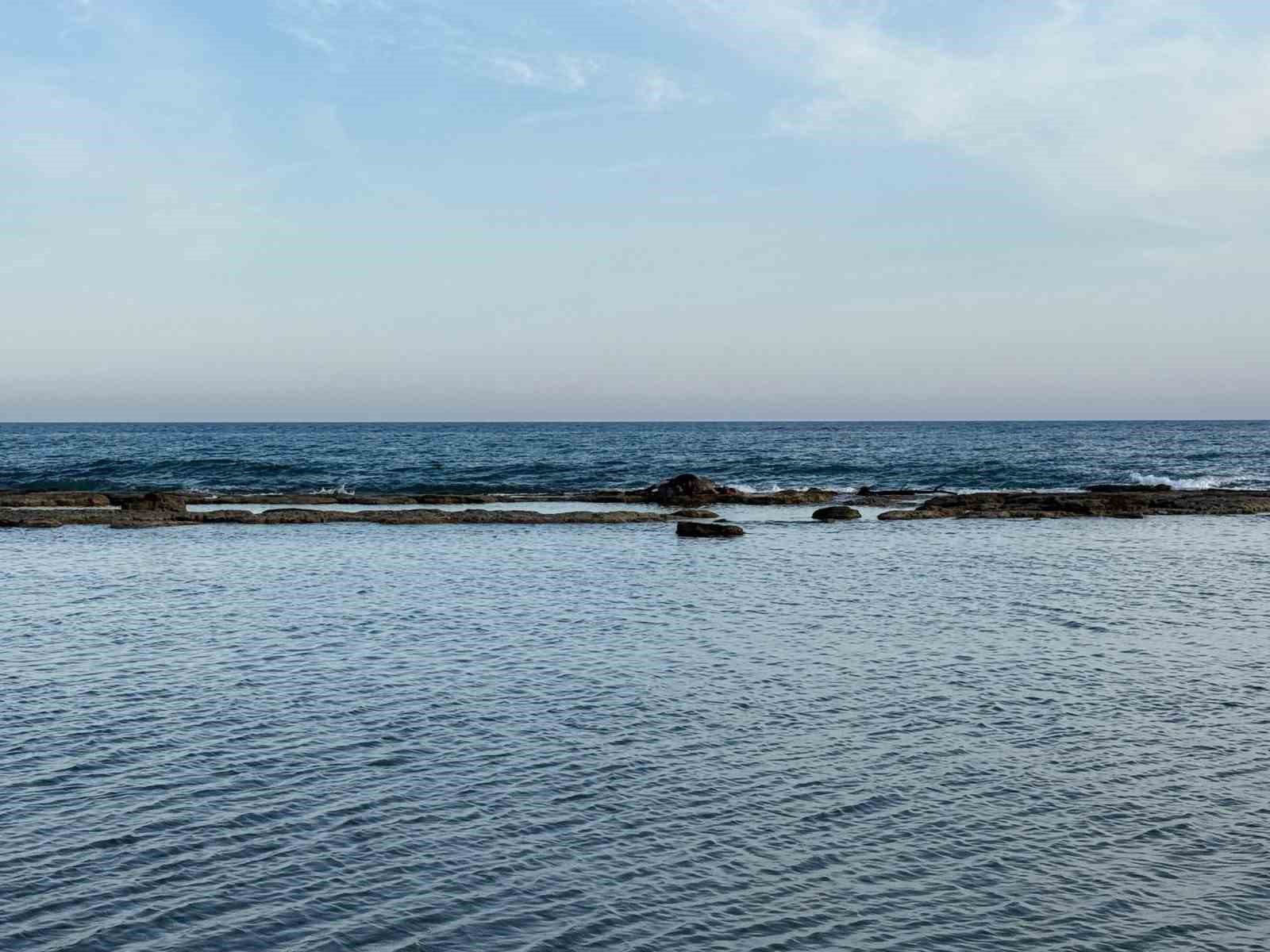 Kokuyu alan sahilden kaçtı, dikkatli bakınca gerçek ortaya çıktı