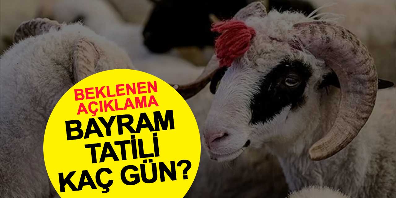 Kurban Bayramı Tatili 9 Gün Olmayacak: Kamu Çalışanları 10 Haziran’da İşbaşı Yapacak